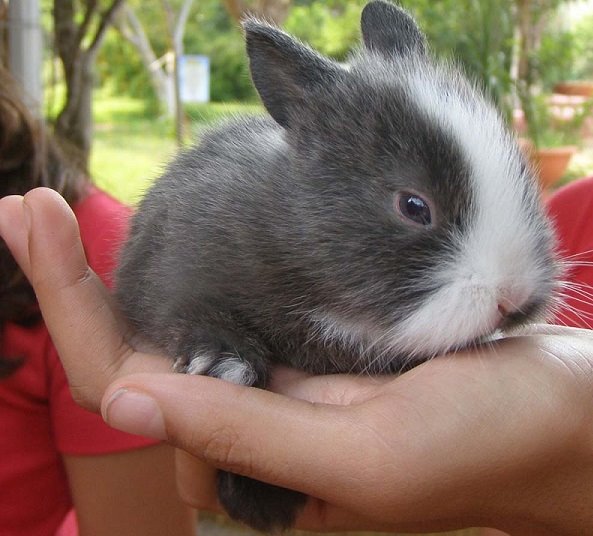 החווה החקלאית אשדוד