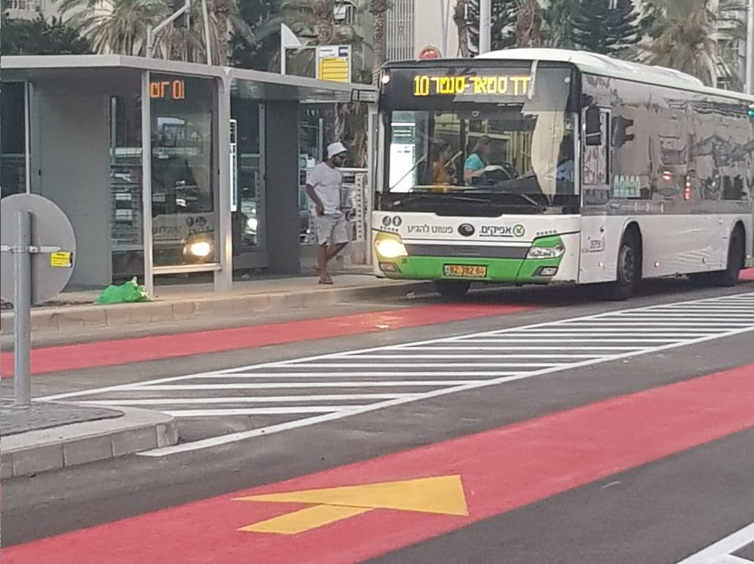 אוטובוס של אפיקים | קרדיט: מולי מנדלסון