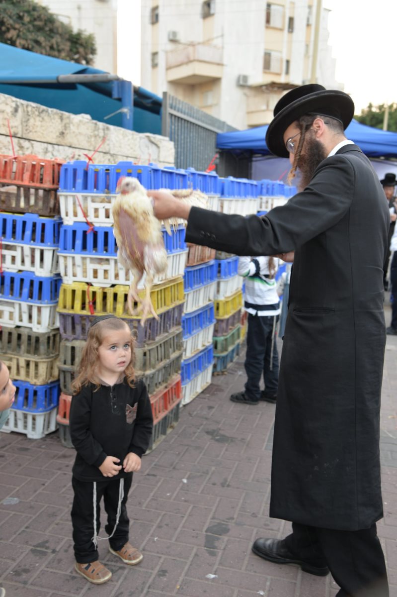 צילום: יוסי לוי