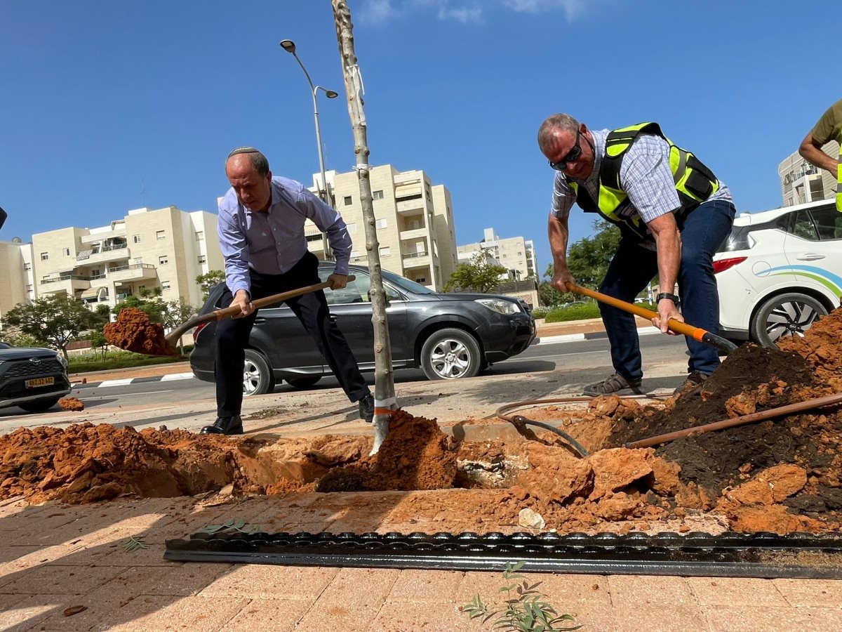 צילום: עירית אשדוד