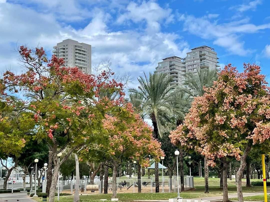 פארק סיטי אשדוד צילום מני בן הרוש