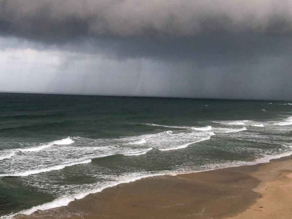 חורף באשדוד. צילום: סמדר ניצן, מתנדבת רשות הטבע והגנים