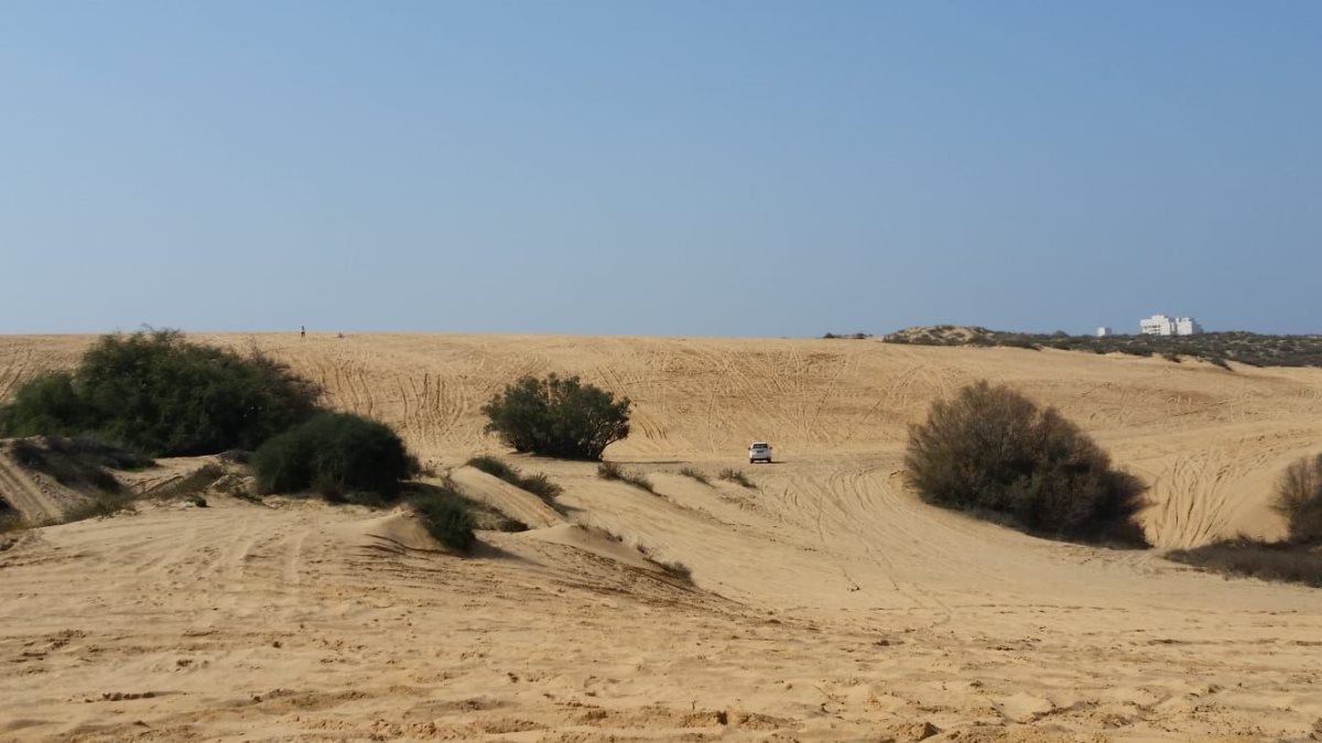 החלטה שנויה במחלוקת. הדיונה הגדולה. דור גפני