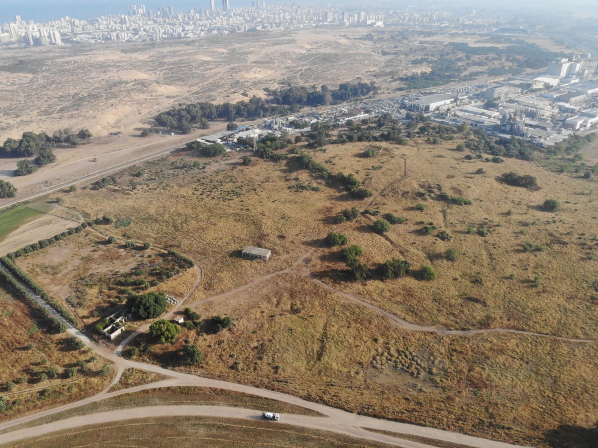 תל אשדוד. צילום: תומר עפרי, רשות הטבע והגנים