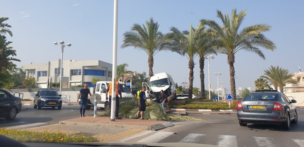 צילום: טל טובול