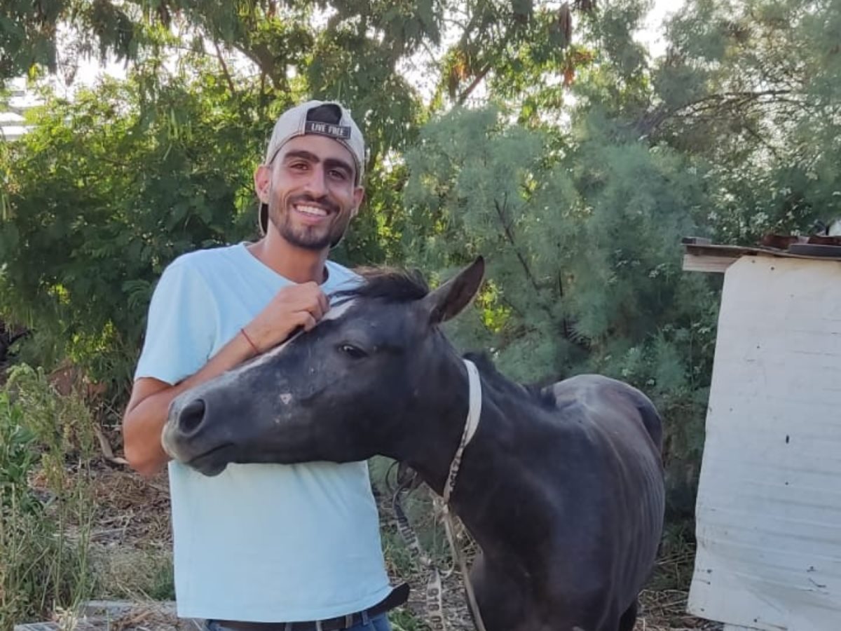 אוהד והסייח האבוד