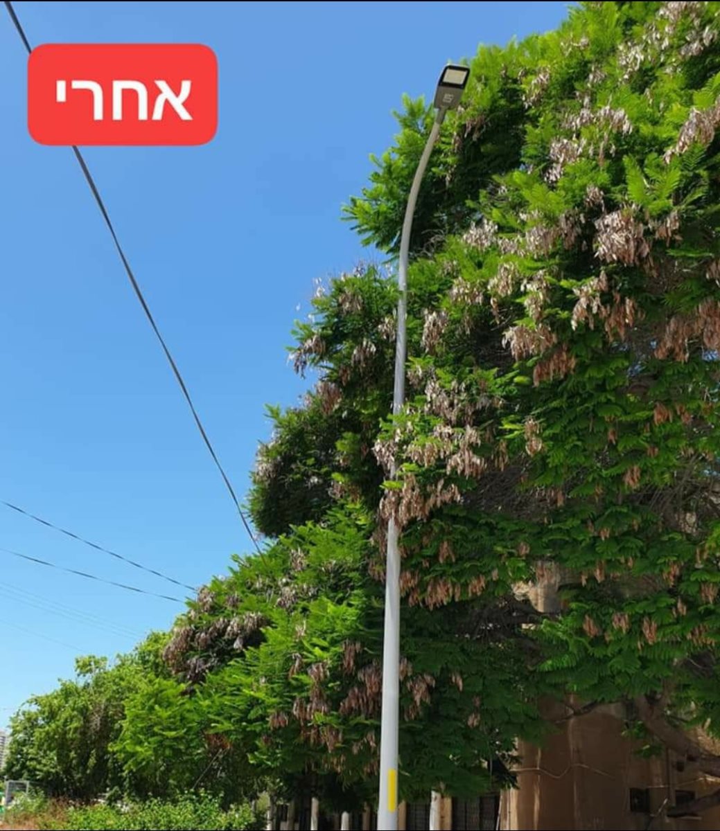 מינהלת רובע ג&#39;