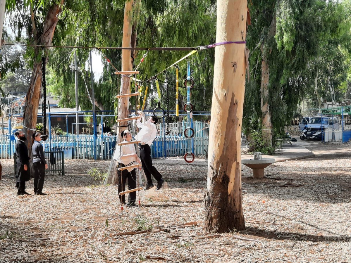 נהנים בלי פשרות. צילום: מאוגדים