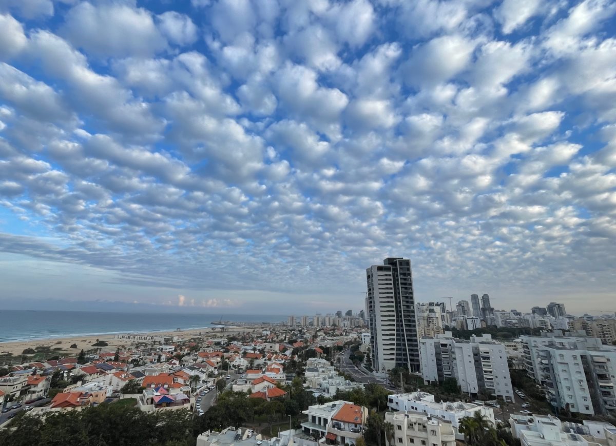 צילום: שמוליק דוד