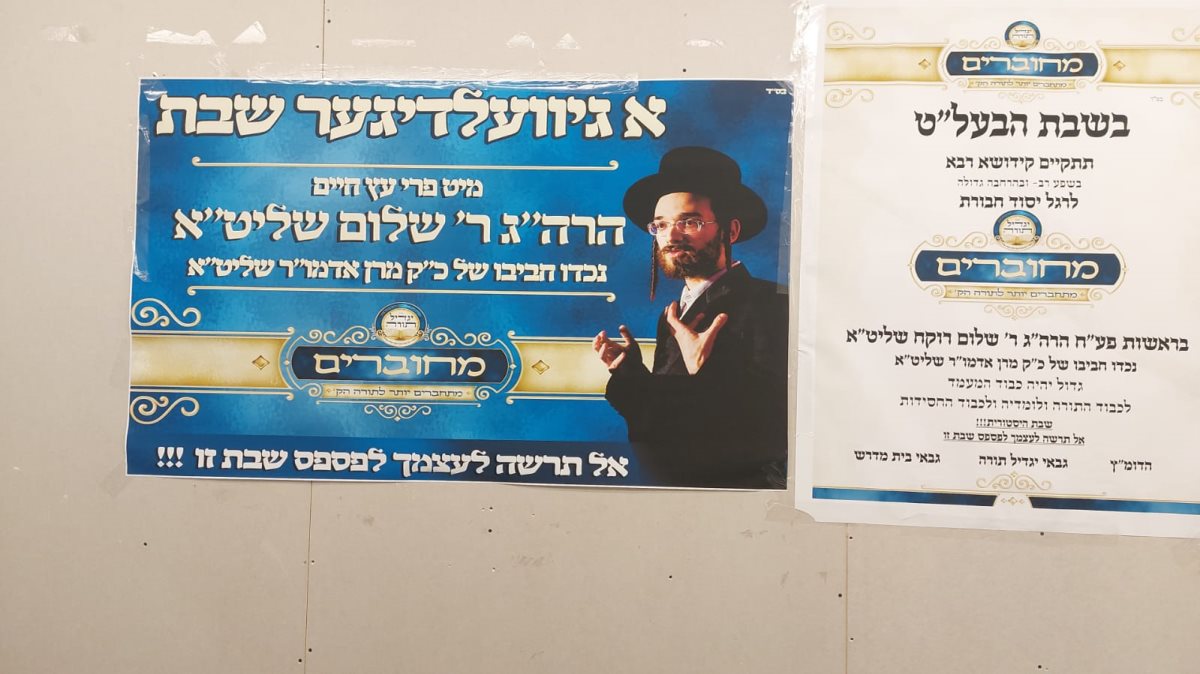 צילום: ללא