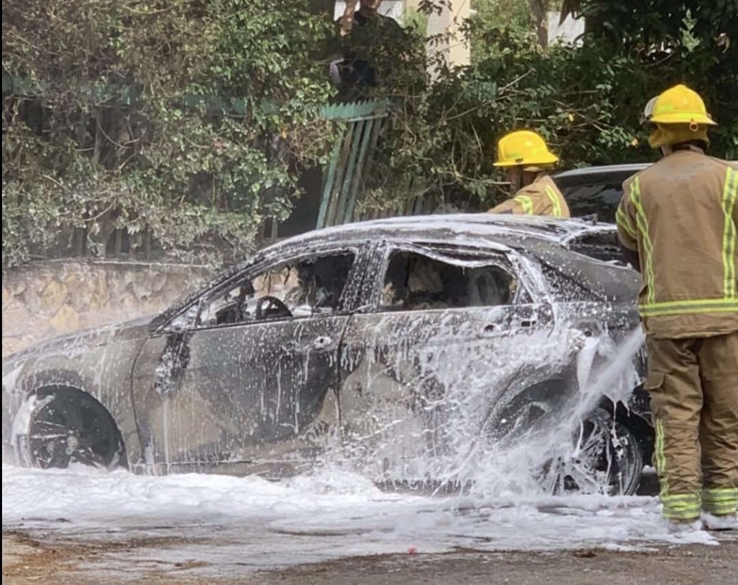 צילום: נדנקה איגנטייב