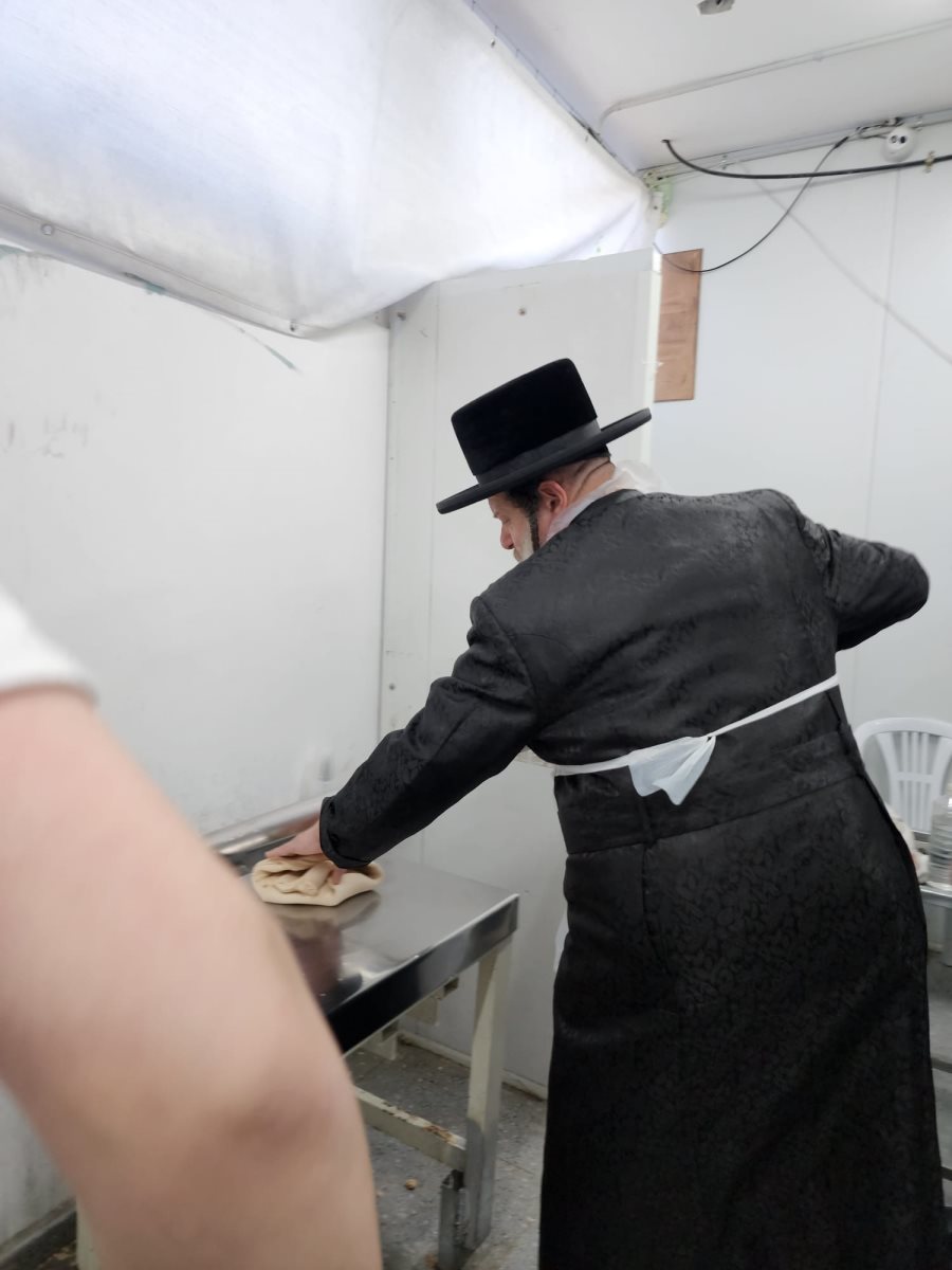 צילום: חצר שאץ