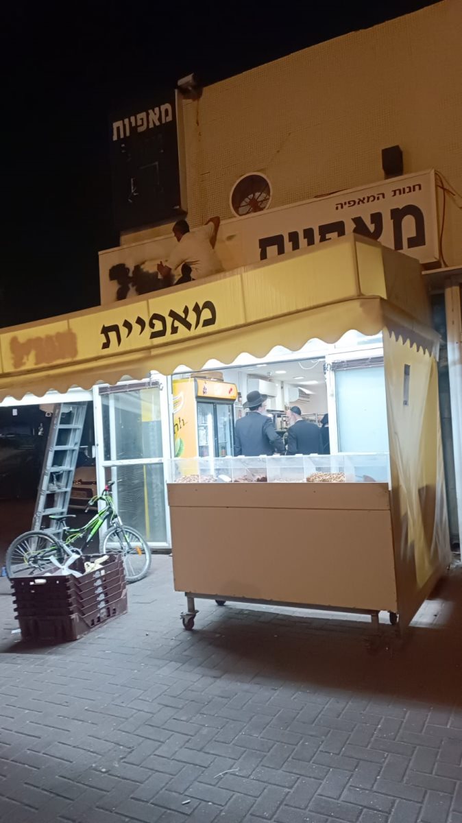 צילום: יוסי לוי