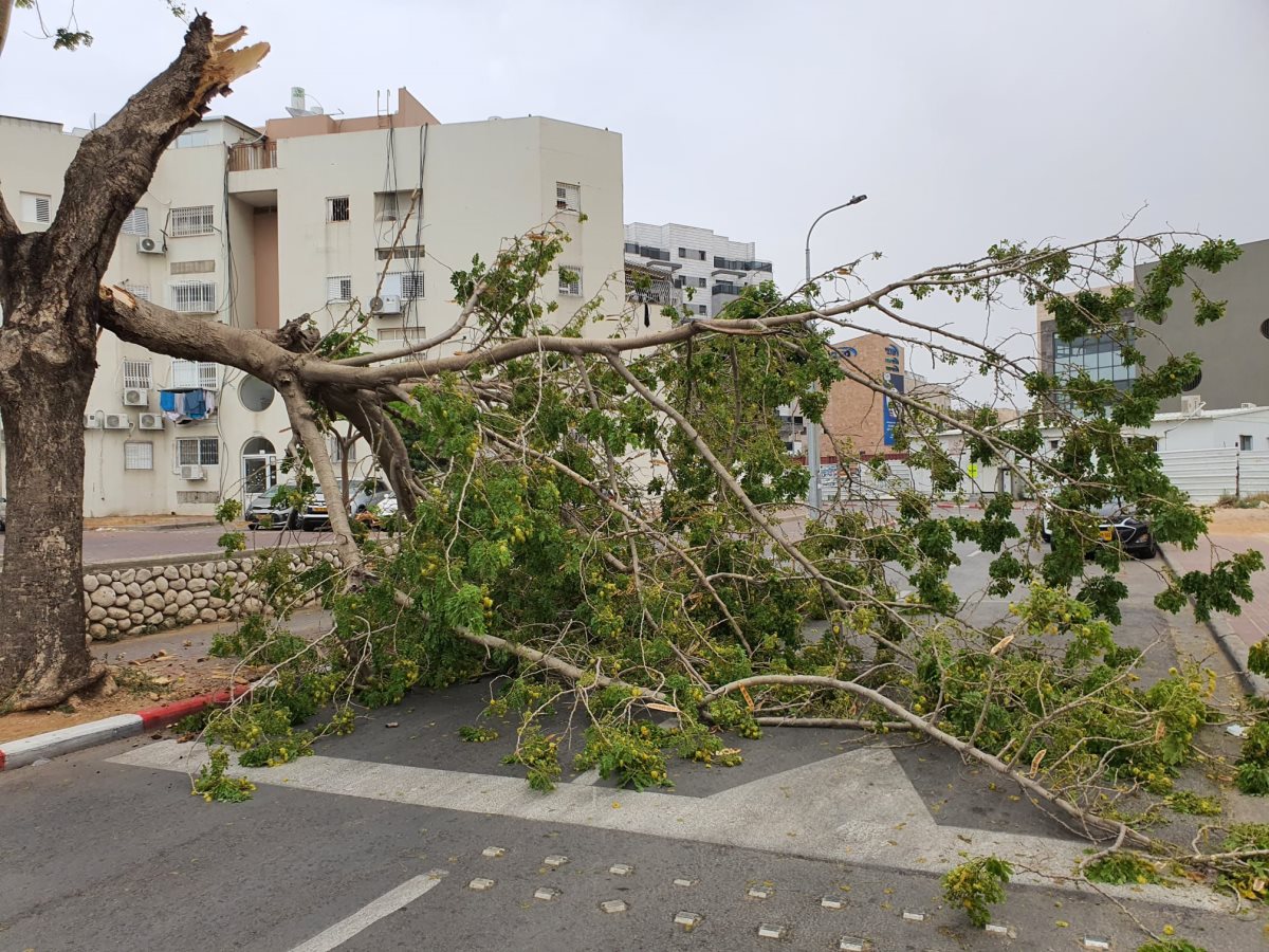 צילום: באדיבות המצלם