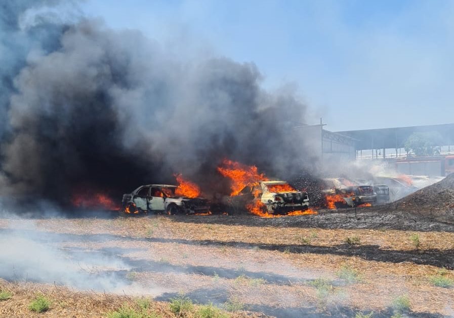 דוברות כבאות והצלה