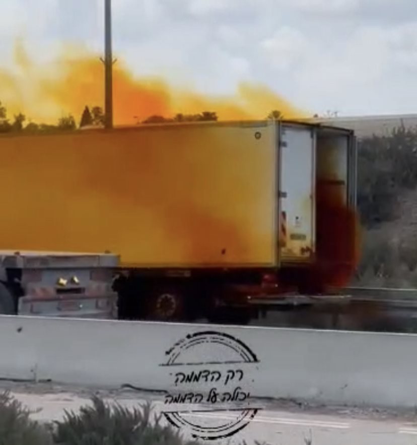 קרדיט: רק הדממה יכולה על הדממה