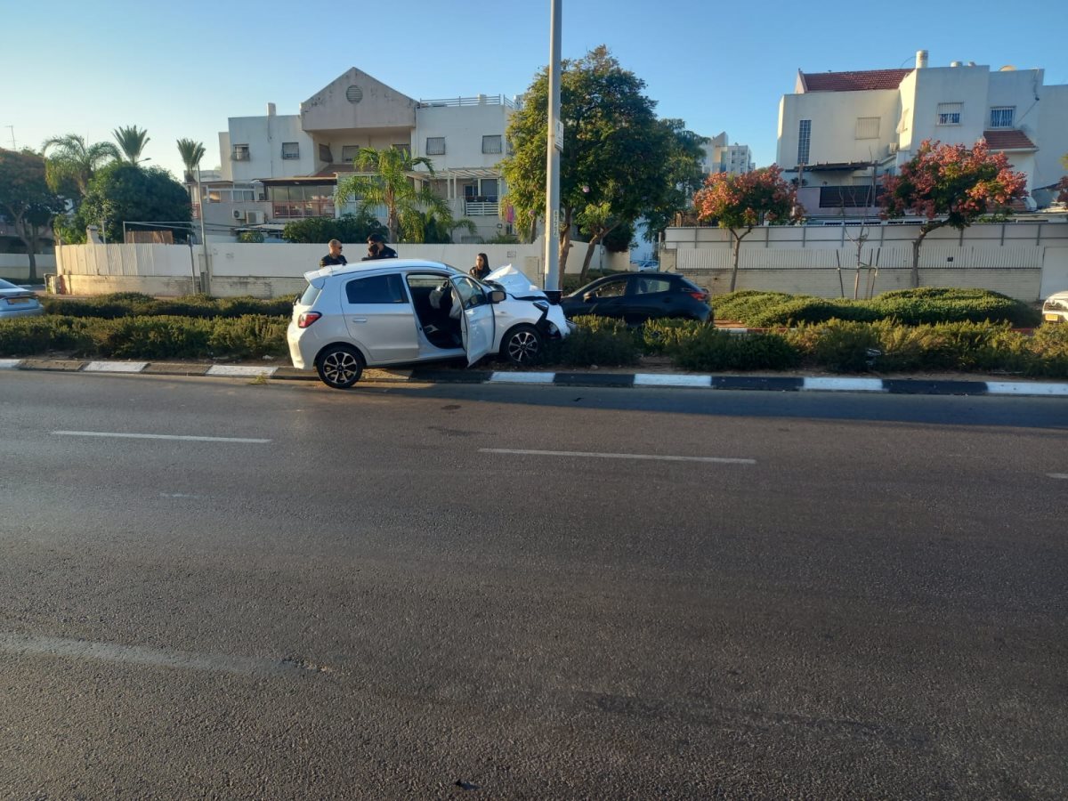 צילום: דוד פרטוש