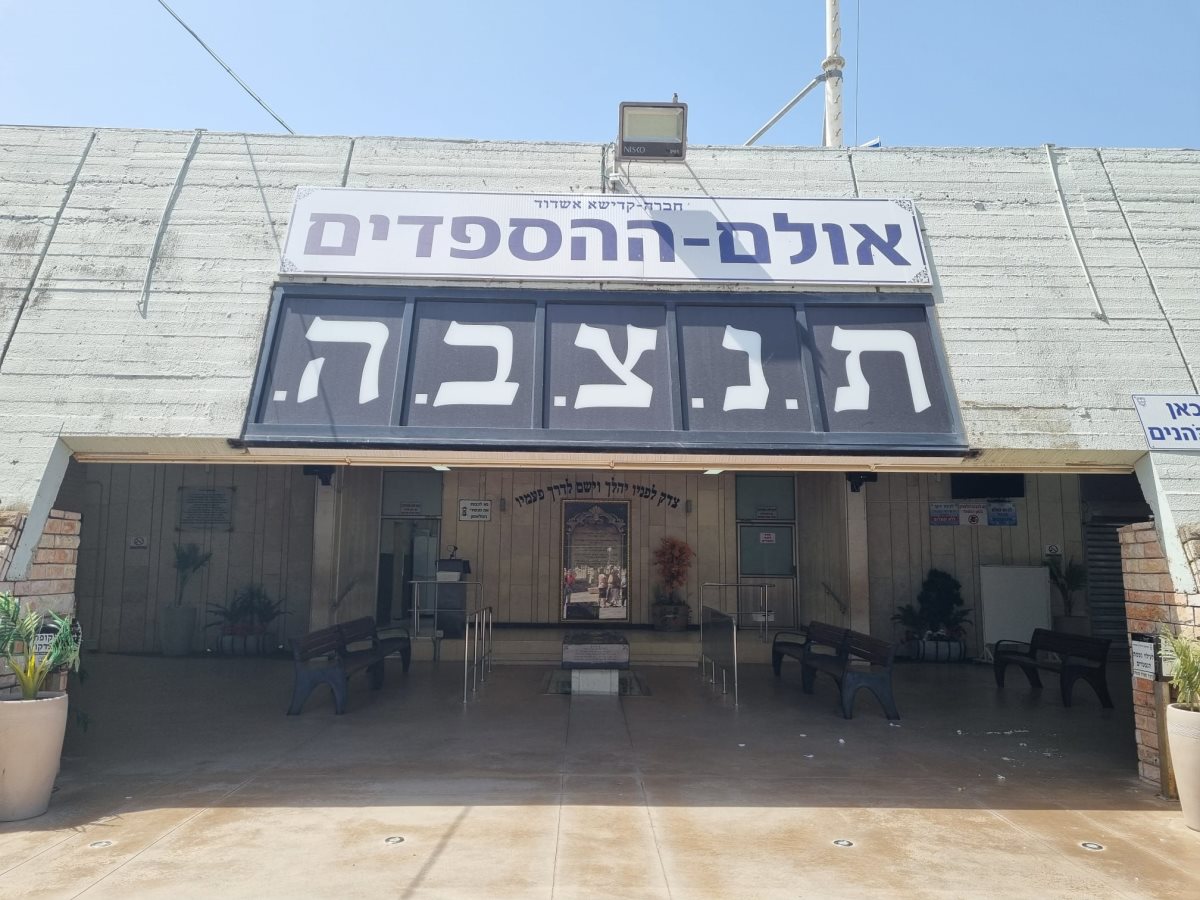 צילום ג'ני זרח