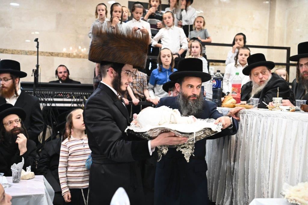 פדיון הבן בפיטסבורג. שוקי לרר