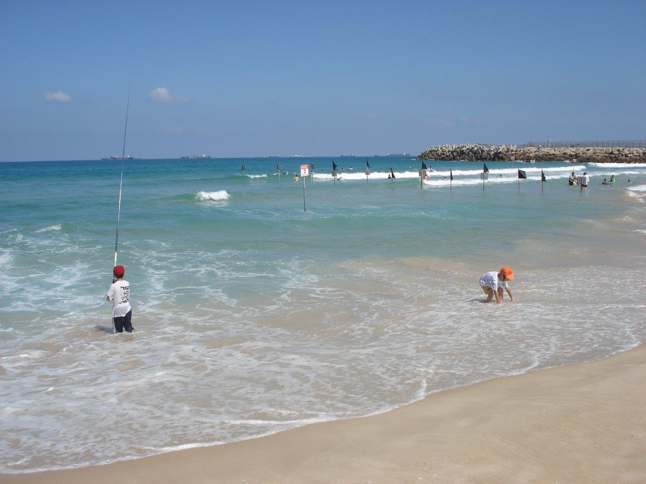 החוף הנפרד. א' מיכאלי