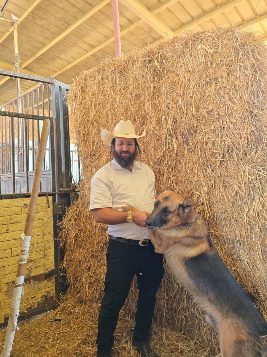 חיבור לא טבעי. הרשלר