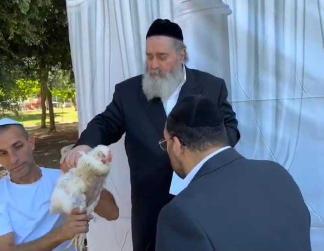 צילום: א. מיכאלי