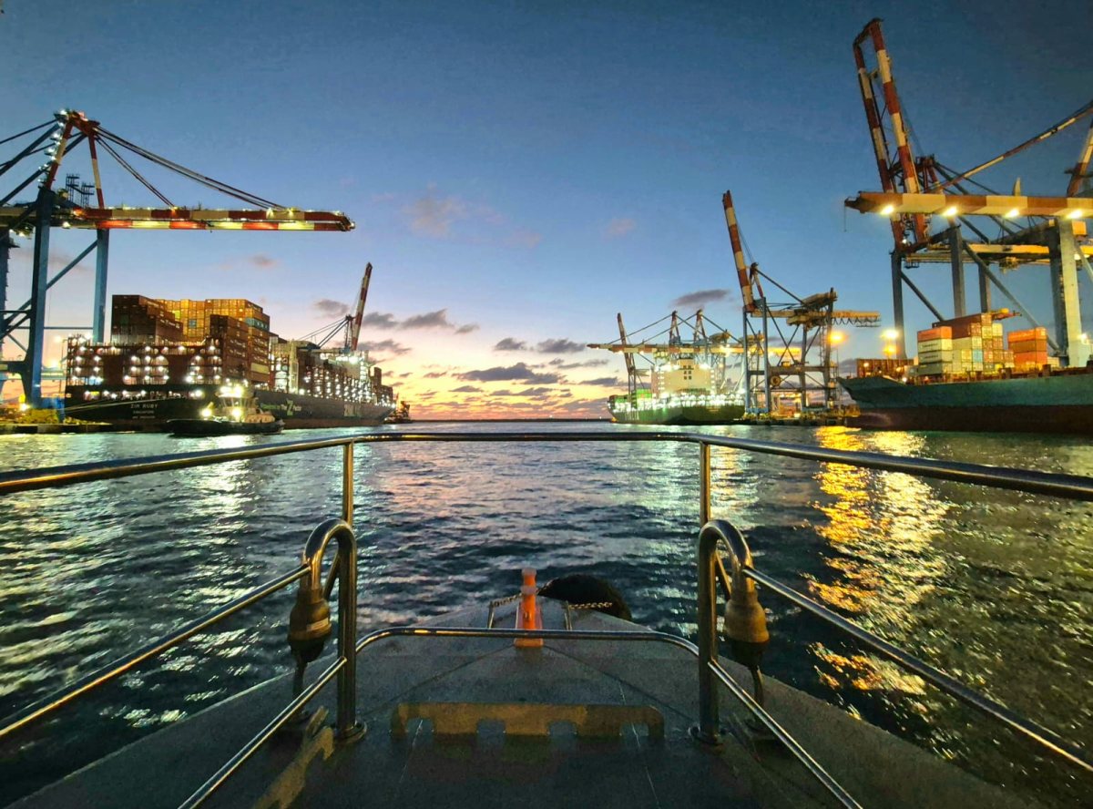 צילום: דניאל אלמוזנינו