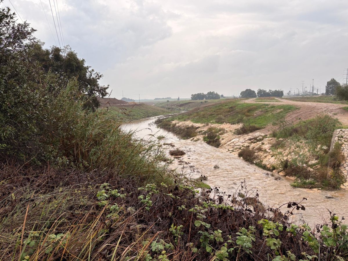 נחל לכיש בבוקר חורפי (אשדוד נט)