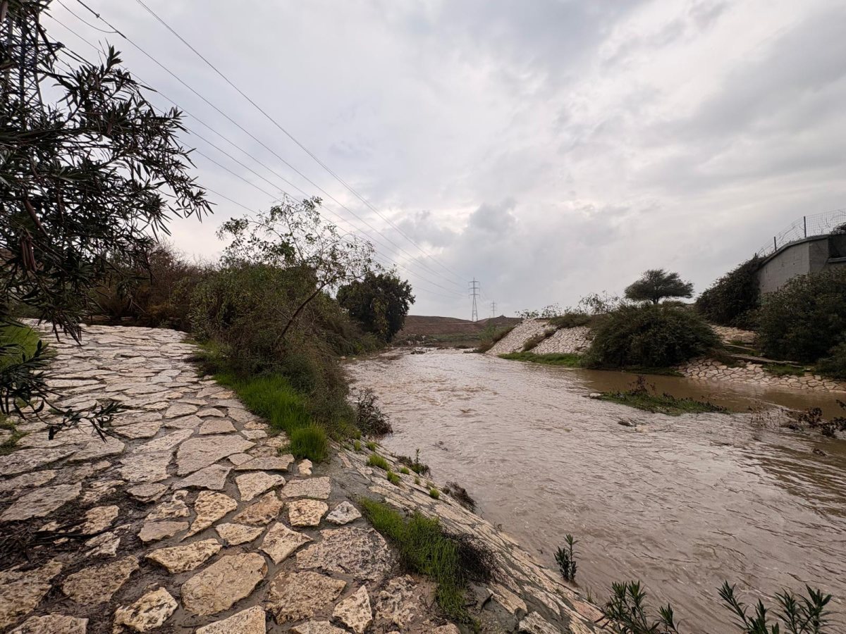נחל לכיש בבוקר חורפי (אשדוד נט)