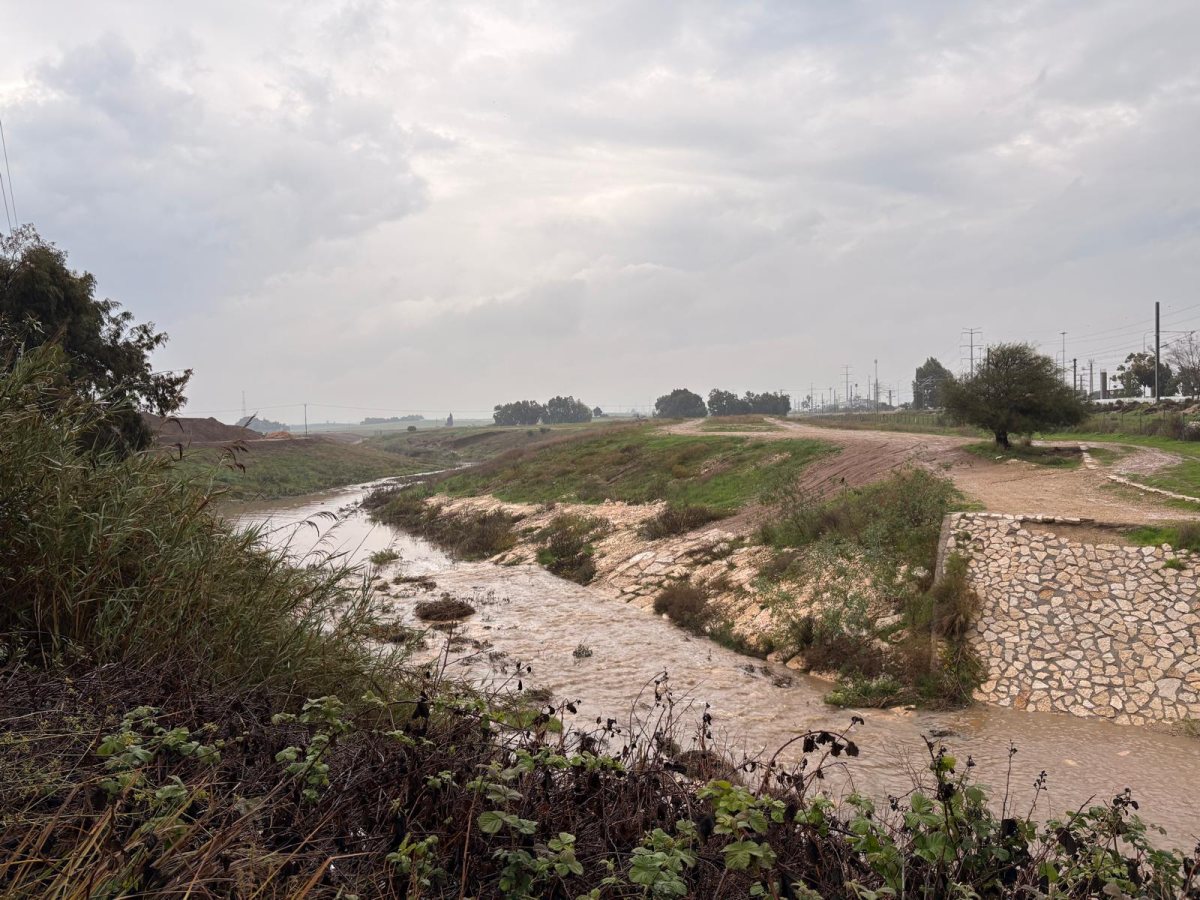 נחל לכיש בבוקר חורפי (אשדוד נט)