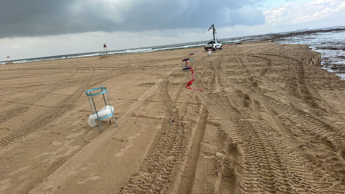 צילום: עירית אשדוד