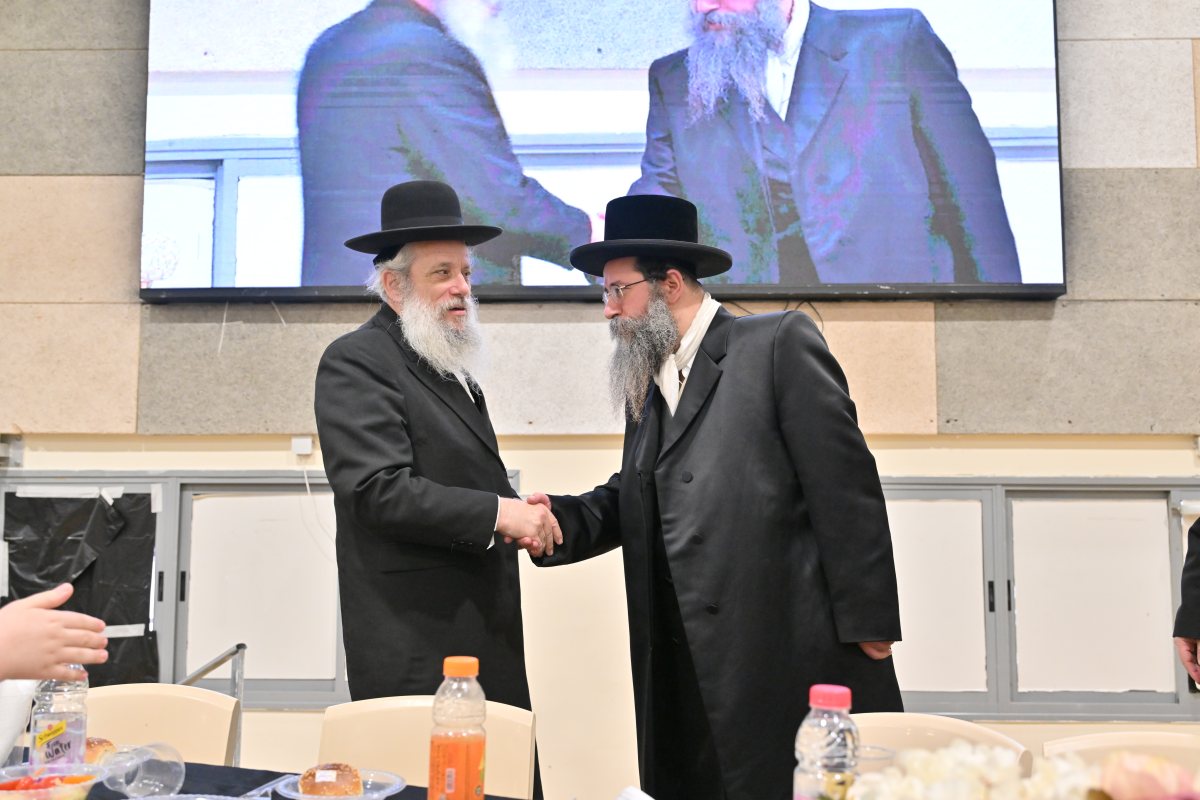 צילום: יהושע פרוכטר