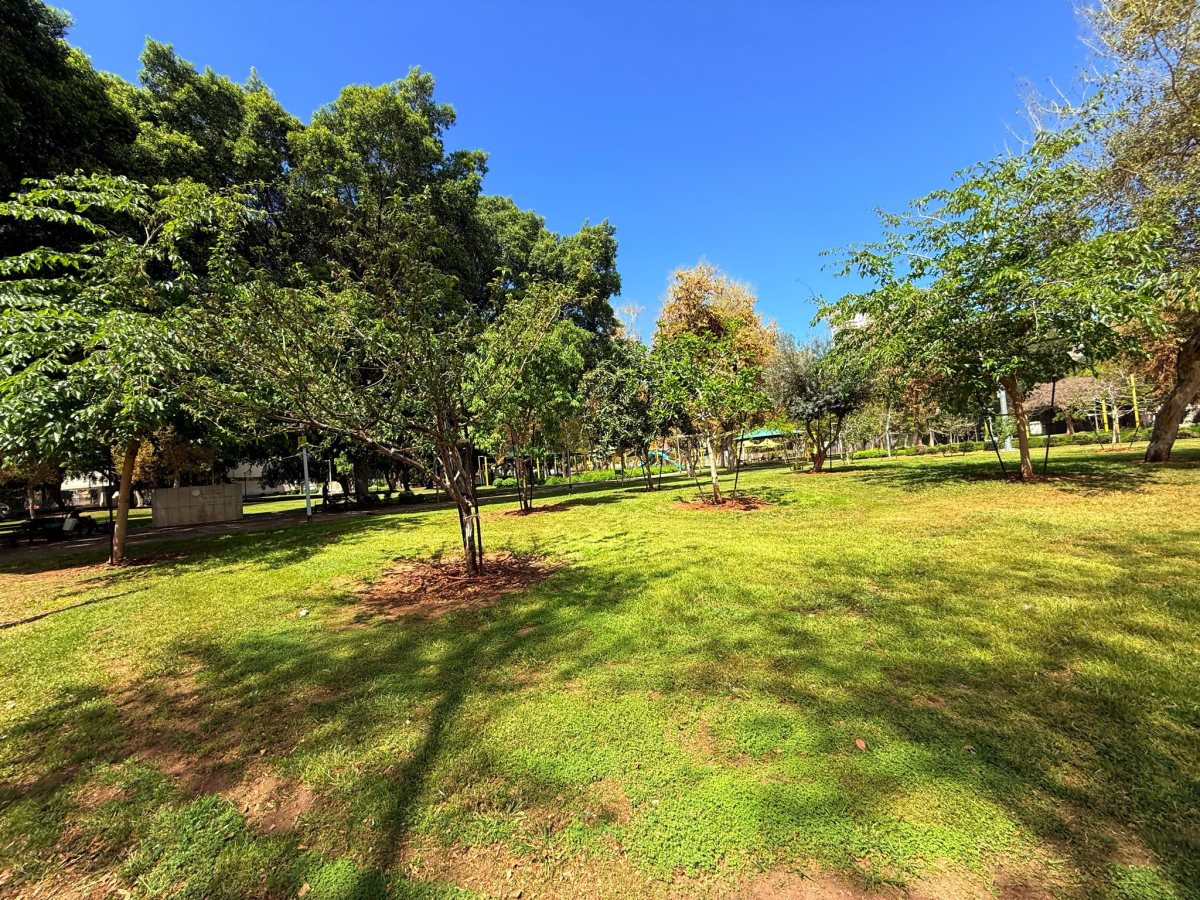 צילום: עיריית אשדוד