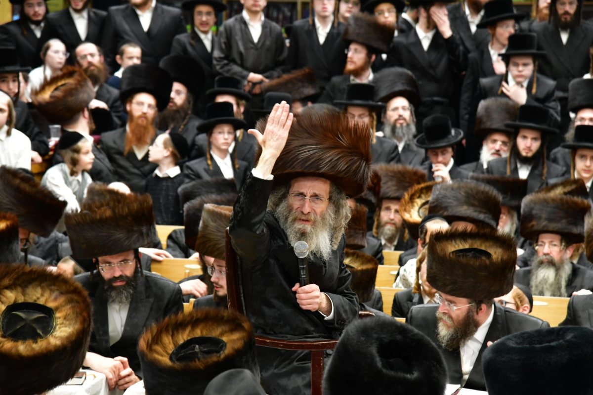 צילום: יוסי לוי