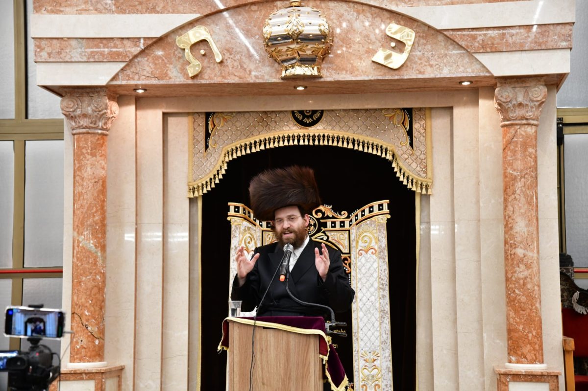 צילום: יוסי לוי