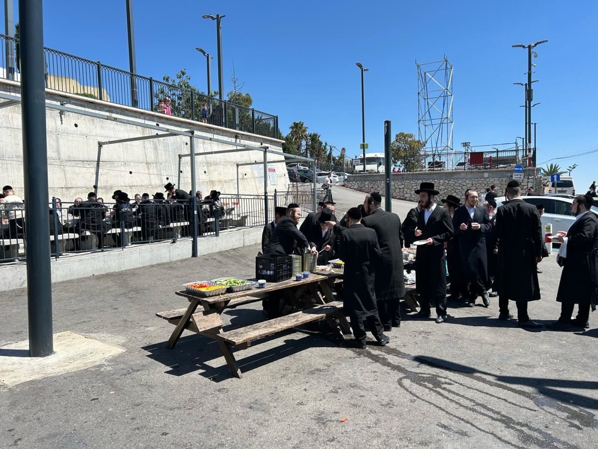 בחורי הישיבות החסידיות בטיול. מעגלים