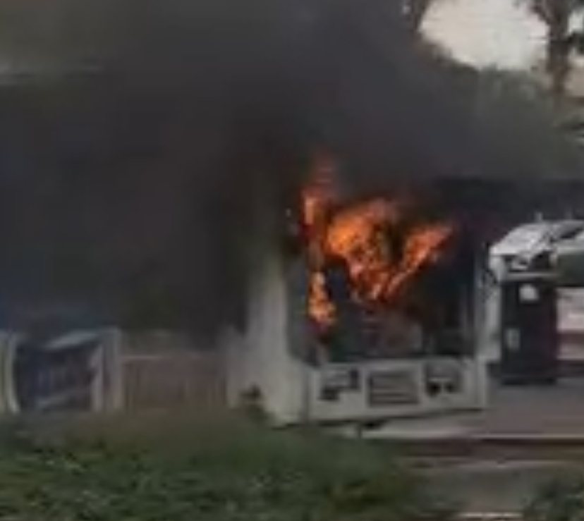 צילום: רומן פינחסוב