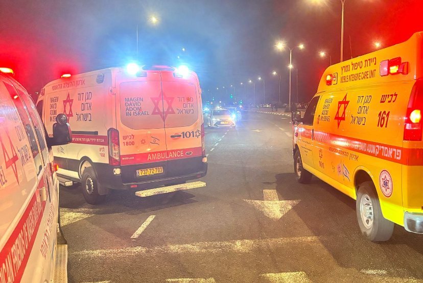 צילום: דוברות מד&quot;א