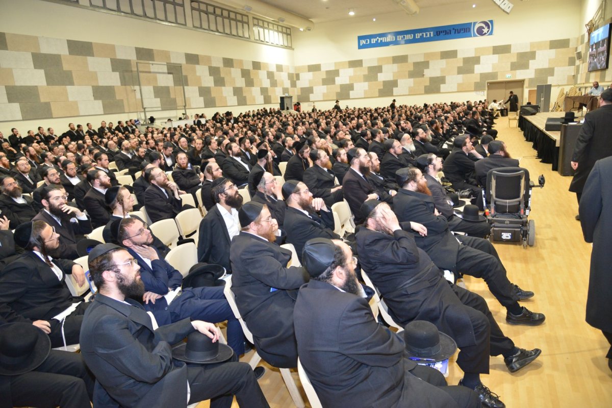 צילום: דוד עוזר