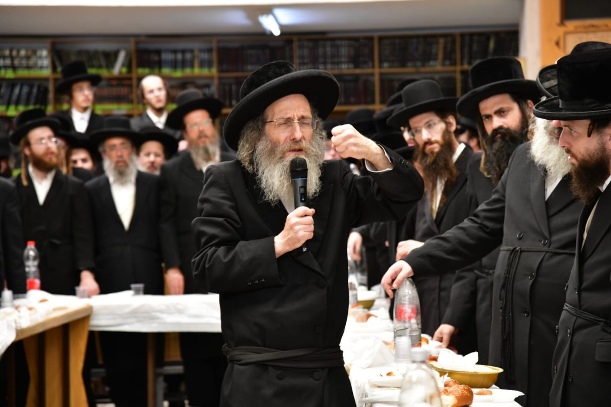 צילום: יוסי לוי