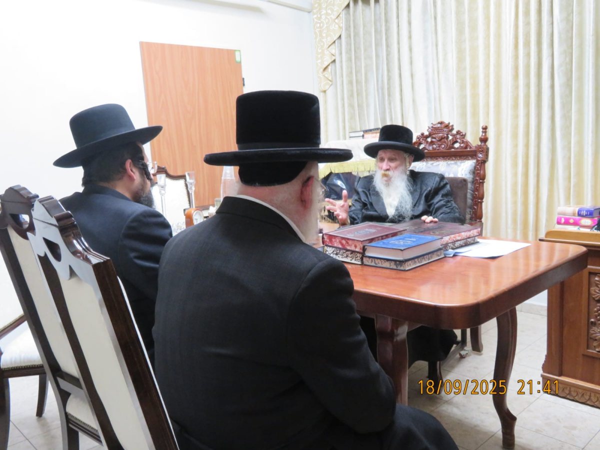 צילום: א. מיכאלי