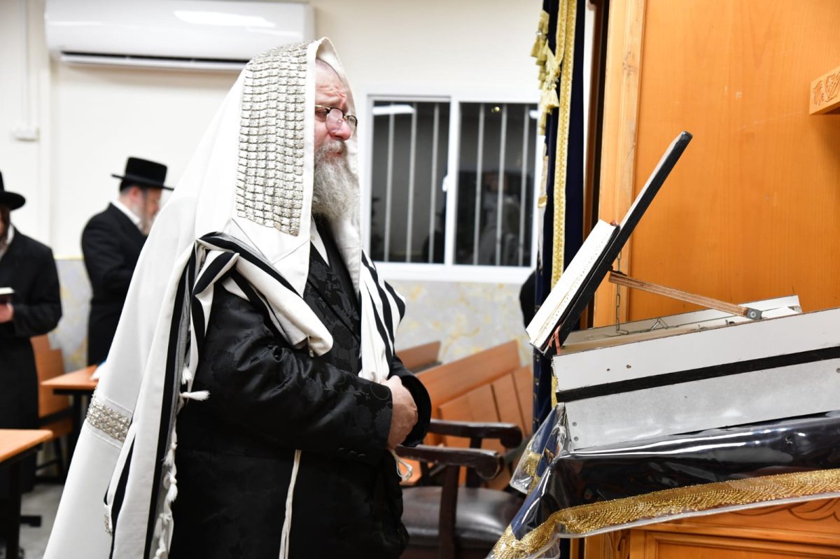 צילום: יוסי לוי