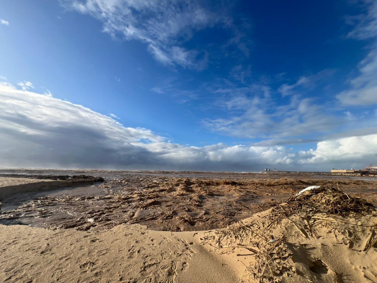חוף הים צילום אורי קריספין