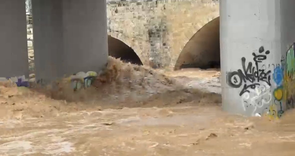 צילום: שמואל דוד