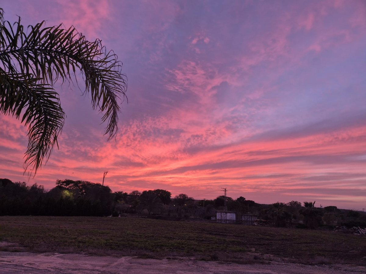 שמיים אש - צילום אלדה נתנאל