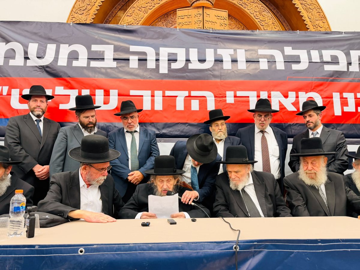 צילום: אלכס הוכברגר אבי ריין