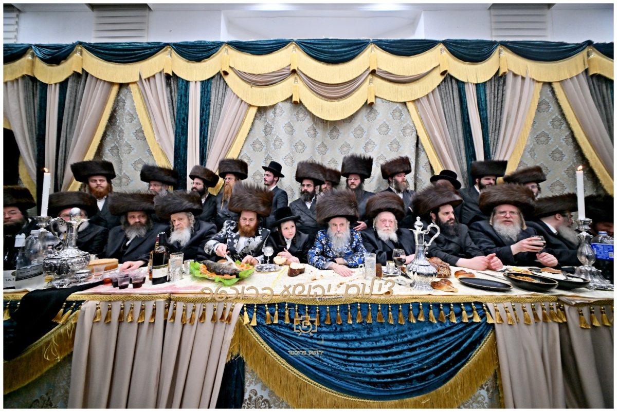 בר מצוה נעשכיז. יהושע פרוכטר