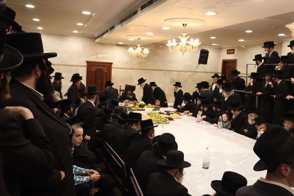 טיש טו בשבט בפיטסבורג. יואל פ