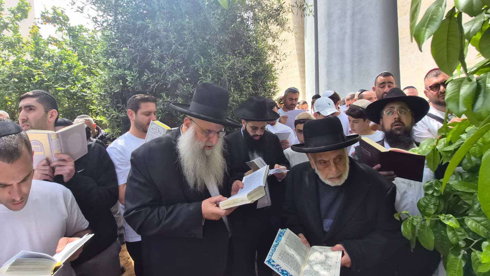 רבי מאיר אבוחצירא בברכת האילנות. מ' מיכאלי