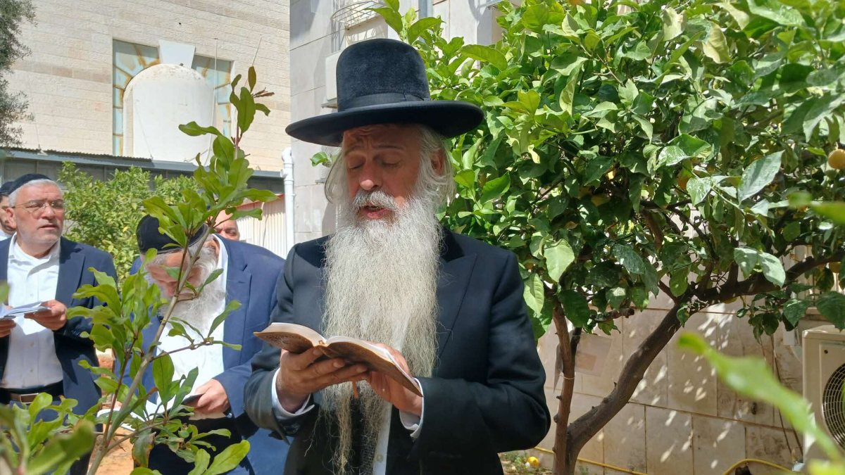 הרב שמואל שטרית בברכת האילנות. 